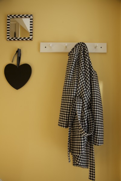 Backdoor coat rack