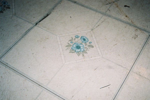 Vinyl floor